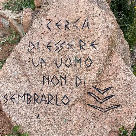 Ancora *
